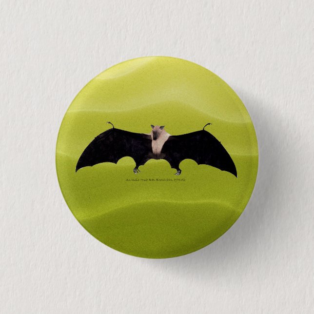Indian Fruit Bat 3 Cm Round Badge (Front)