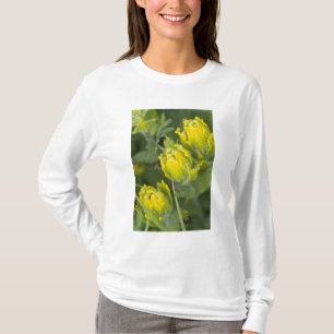 Indian Golden Paintbrush Castilleja T-Shirt