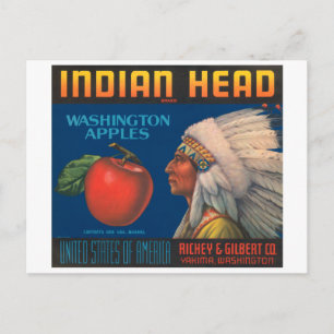 Indian Head Washington Apples Vintage Crate Label Postcard