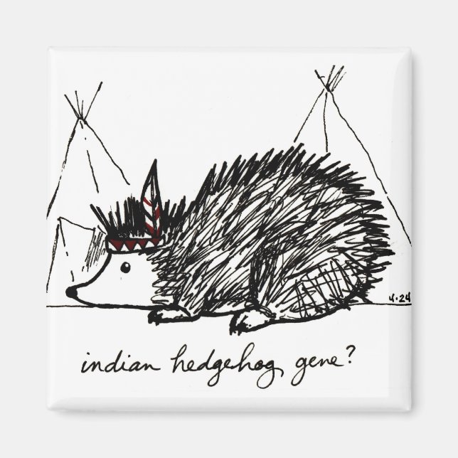 Indian Hedgehog Gene magnet (Front)