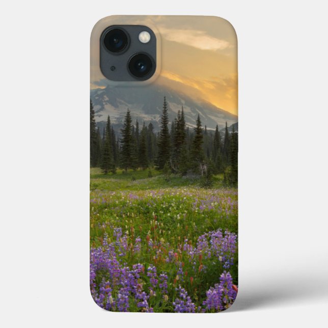 Indian Henry's Hunting Ground at sunrise Case-Mate iPhone Case (Back)