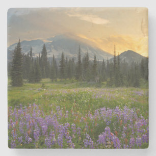 Indian Henry's Hunting Ground at sunrise Stone Coaster