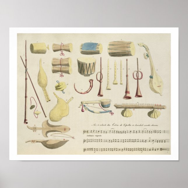 Indian Musical Instruments, plate 23 from 'Orienta Poster (Front)