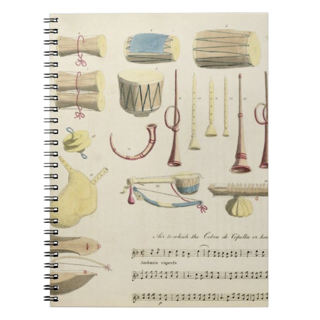 Indian Musical Instruments, plate 23 from 'Orienta Spiral Notebook (Front)