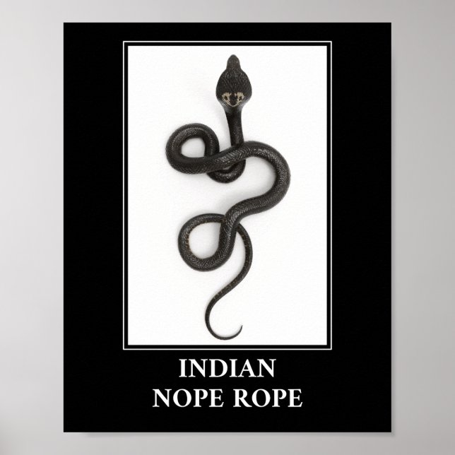 Indian Nope Rope - Cobra Snake Danger Poster (Front)