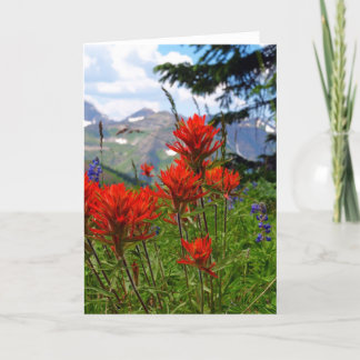Indian Paint Brush Card