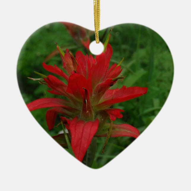 Indian paint brush ceramic tree decoration (Front)