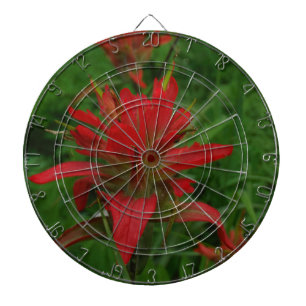 Indian paint brush dartboard