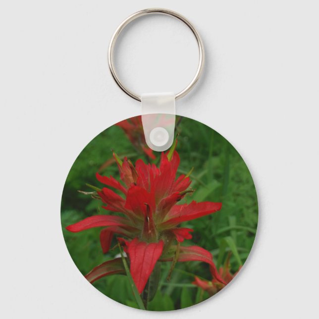 Indian paint brush key ring (Front)