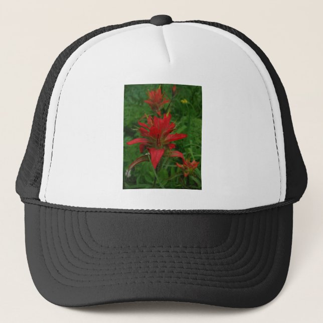 Indian paint brush trucker hat (Front)