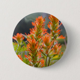 Indian Paintbrush 6 Cm Round Badge