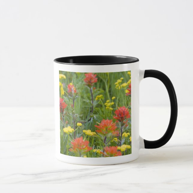 Indian paintbrush and biscuitroot wildflowers mug (Right)