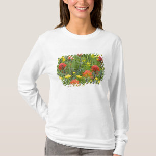 Indian paintbrush and biscuitroot wildflowers T-Shirt