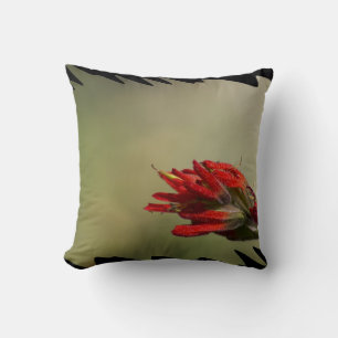 Indian Paintbrush Black Edge Cushion