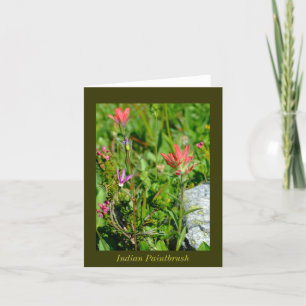 Indian Paintbrush Card