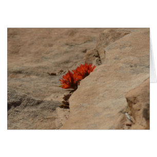 Indian Paintbrush in Rocks at Zion