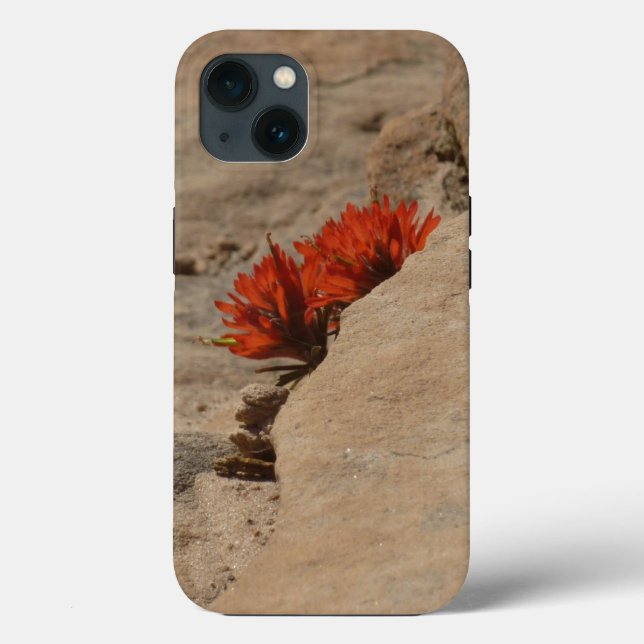 Indian Paintbrush in Rocks at Zion Case-Mate iPhone Case (Back)
