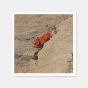 Indian Paintbrush in Rocks at Zion Napkin