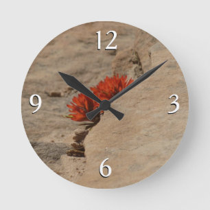 Indian Paintbrush in Rocks at Zion Round Clock