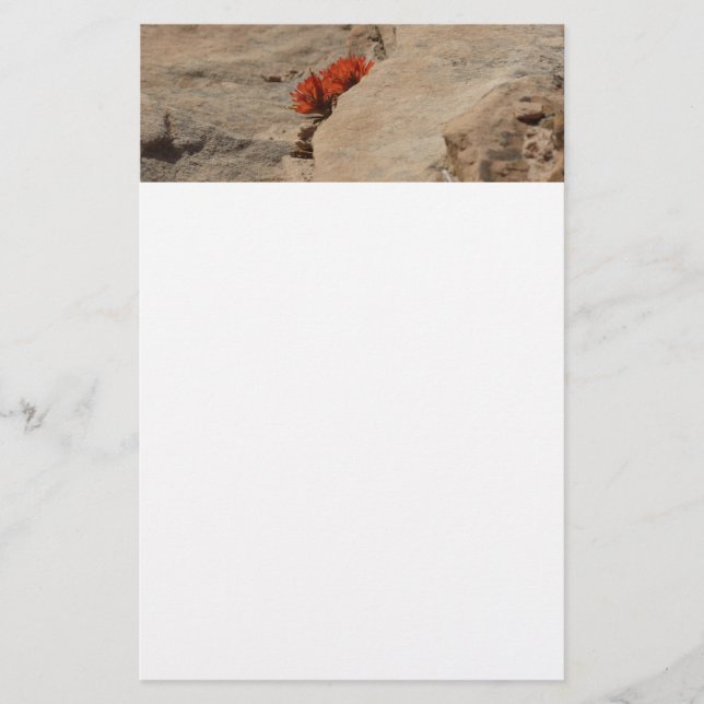 Indian Paintbrush in Rocks at Zion Stationery (Front)