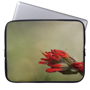 Indian Paintbrush Laptop Sleeve