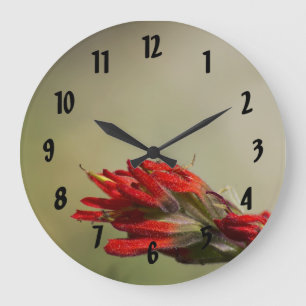 Indian Paintbrush Large Clock