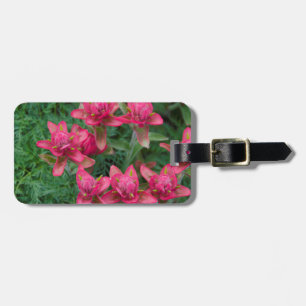 Indian Paintbrush Luggage Tag