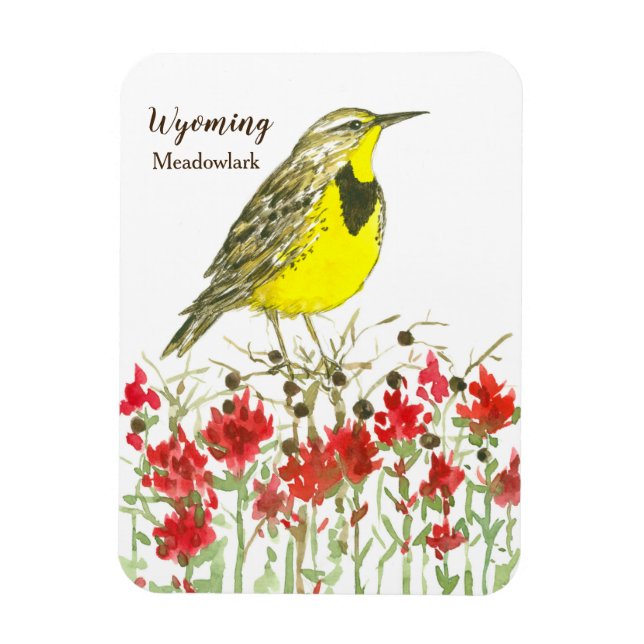 Indian Paintbrush Meadowlark Wyoming Magnet (Vertical)