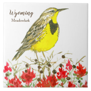 Indian Paintbrush Meadowlark Wyoming Souvenir Tile