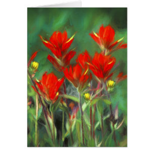Indian Paintbrush Painting - Original Flower Art