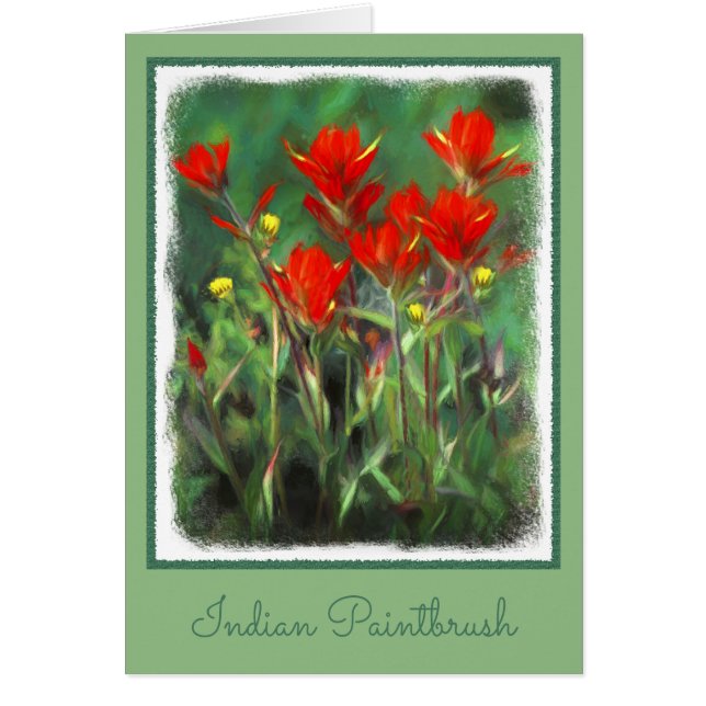 Indian Paintbrush Painting - Original Flower Art (Front)