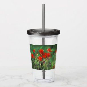Indian Paintbrush Painting - Original Flower Art Acrylic Tumbler