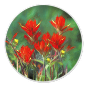 Indian Paintbrush Painting - Original Flower Art Ceramic Knob