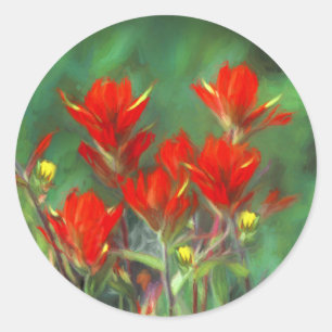 Indian Paintbrush Painting - Original Flower Art Classic Round Sticker