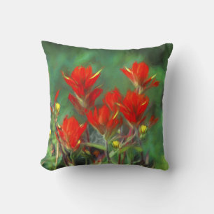 Indian Paintbrush Painting - Original Flower Art Cushion