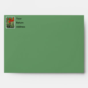 Indian Paintbrush Painting - Original Flower Art Envelope