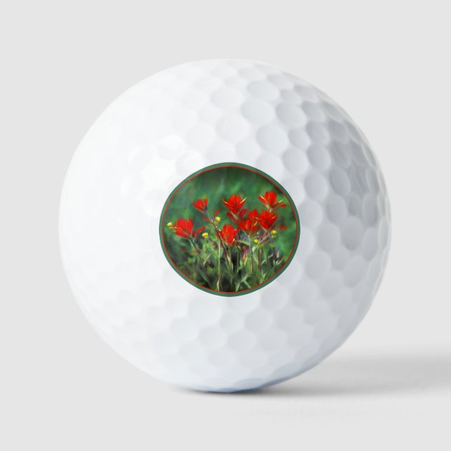 Indian Paintbrush Painting - Original Flower Art Golf Balls (Front)
