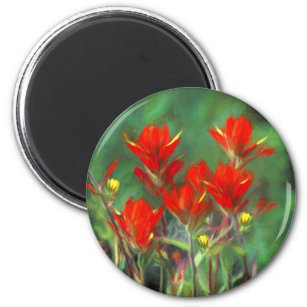 Indian Paintbrush Painting - Original Flower Art Magnet