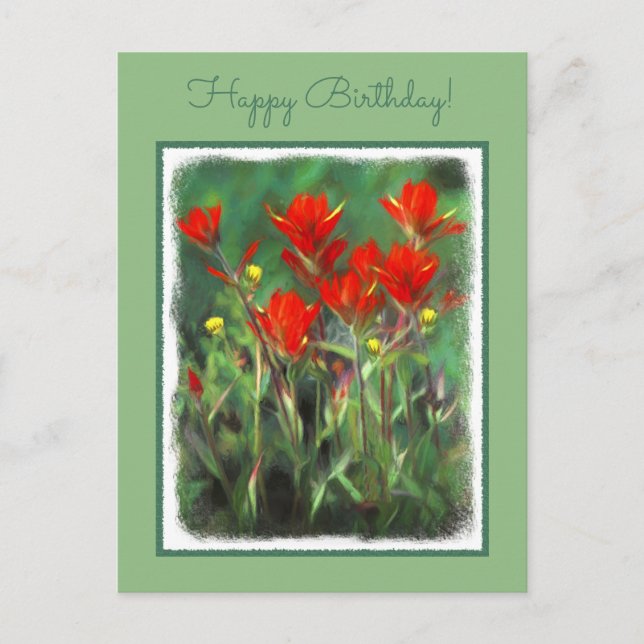 Indian Paintbrush Painting - Original Flower Art Postcard (Front)