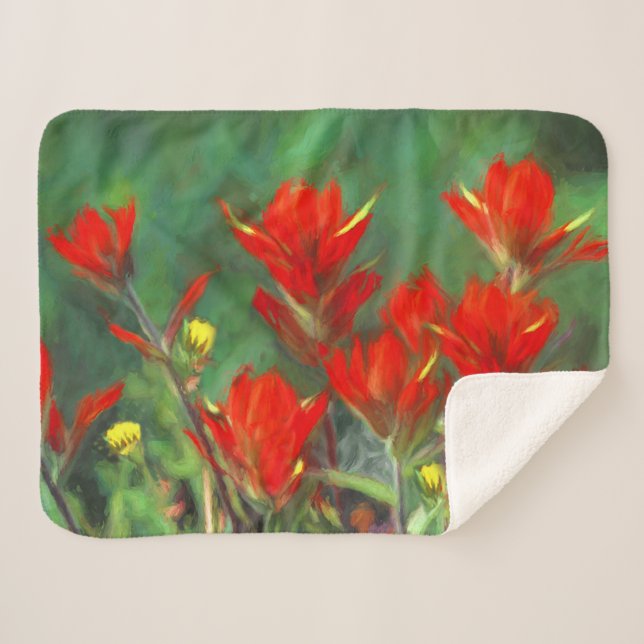 Indian Paintbrush Painting - Original Flower Art Sherpa Blanket (Front (Horizontal))