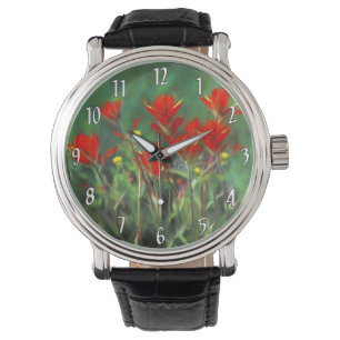 Indian Paintbrush Painting - Original Flower Art Watch