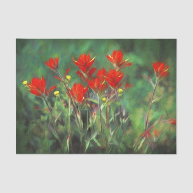 Indian Paintbrush Painting Original Wildflower Art Tissue Paper (Front)