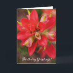 Indian Paintbrush Wildflower Art Birthday Card<br><div class="desc">This charming card features my original artwork, consisting of my original photograph of a blooming Indian Paintbrush wildflower, close up. I applied a painterly technique to the background to give it an artistic flair. The front of the card states, "Birthday Greetings!" and the inside of the card states "Thinking of...</div>