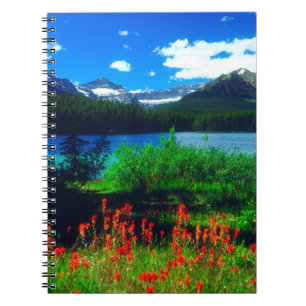 Indian Paintbrush Wildflowers Spiral Notebook