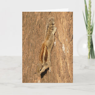 Indian Palm Squirrel on a Tree Trunk Card