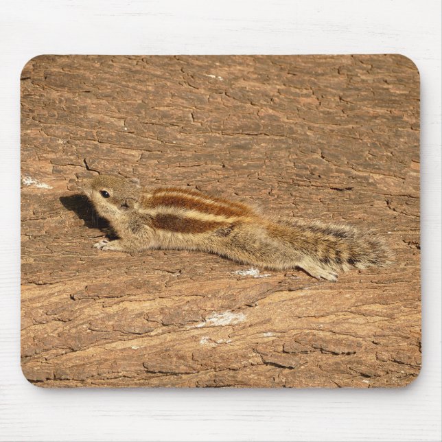 Indian Palm Squirrel on a Tree Trunk Mouse Pad (Front)