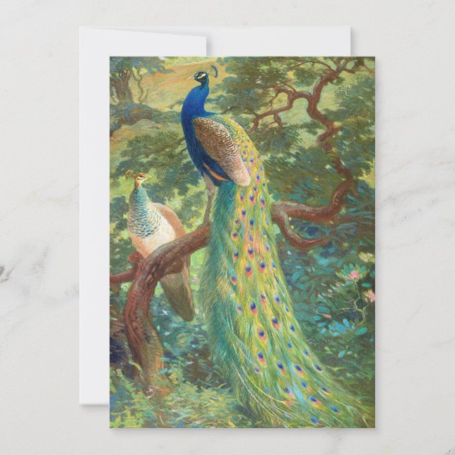 Indian Peafowl | Charles Robert Knight (Front)