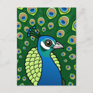 Indian Peafowl Postcard