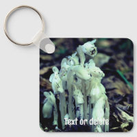 Indian Pipe Forest Wildflower Personalised