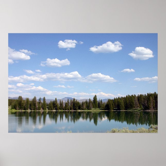 Indian Pond Poster (Front)